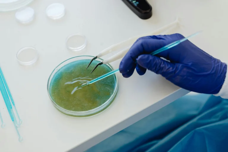 What to Do After IVF Transfer: What Happens Next and How to Support Implantation